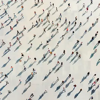 注销公司剧情详细介绍